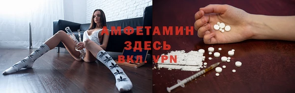 соль ск Абаза
