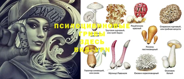 Альфа ПВП Абдулино