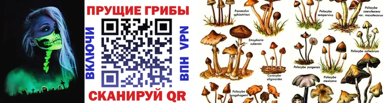 где купить наркоту  Сатка  Галлюциногенные грибы прущие грибы 