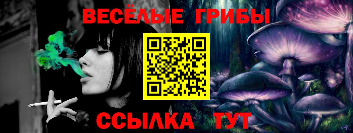 Галлюциногенные грибы мицелий Сатка