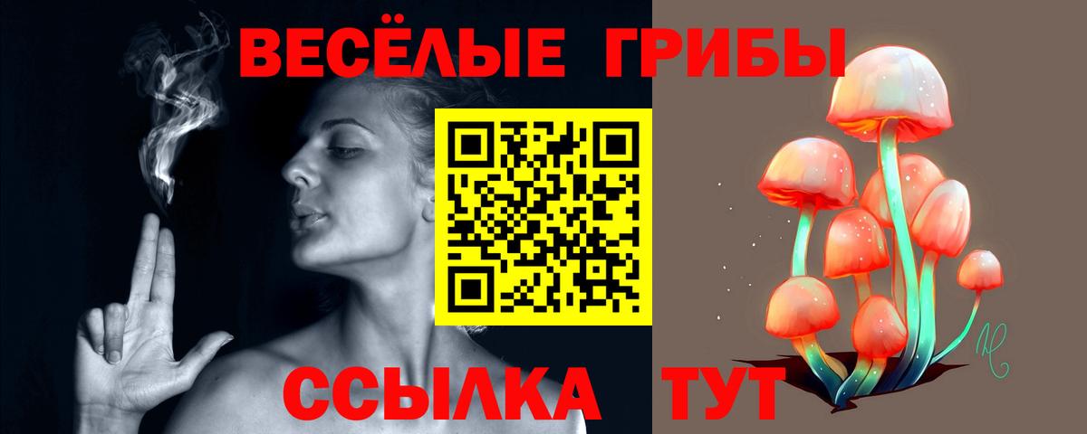 Сатка  Псилоцибиновые грибы Psilocybe  Вход с VPN  Галлюциногенные грибы мухоморы 